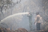 Tak Cukup dari Udara, Kapolda dan Pangdam Turun Langsung Tangani Karhutla di Kerumutan