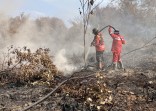 10 Hari Berjibaku, Manggala Agni Tempuh 1,5 Jam Naik Motor dan 1 Km Jalan Kaki Padamkan Karhutla Kerumutan