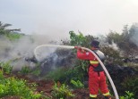 Manggala Agni Kerahkan Tambahan Tim ke Rohil dan Rupat, Pemadaman Karhutla Terus Berlangsung