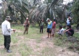 Ikut Usir Gajah Liar, Warga di Bengkalis Meninggal karena Kelelahan