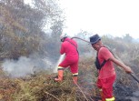 El Nino Menguat, KLH Larang Keras Pembukaan Lahan dengan Cara Membakar