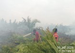 Halangan dan Rintangan Tim Gabungan dalam Memadamkan Api dilahan Pematang Pudu - Bengkalis.