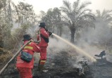 Dua Warga Jadi Tersangka Karhutla 4 Hektare di Bengkalis, Polisi Dalami Dugaan Pengelolaan Lahan HGU