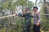Kapolda Riau Terjun Langsung Tangani Karhutla di Dumai, Pastikan Pemadaman Berjalan Optimal