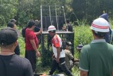 Kemarin Tewaskan Bocah 12 Tahun, Harimau Sumatera Kembali Renggut Nyawa Pekerja di Pelalawan
