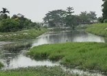 Pemko Pekanbaru Siapkan Pembenahan Waduk Cipta Karya, Dilengkapi Pintu Air dan Area Rekreasi