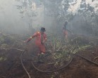 Karhutla Rupat Belum Terkendali, Angin Kencang Hambat Upaya Pemadaman