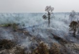 3.227 Hotspot Kepung Sumatera, Riau Catat 71 Titik Panas