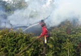 106 Hotspot Terdeteksi di Riau, Inhu Tertinggi dengan 66 Titik