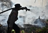 Asap Mulai Terlihat di Pekanbaru, BMKG Catat 75 Hotspot di Riau