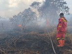 Semakin Meluas, Drone Petakan 80 Hektare Lahan Pematang Pudu Terbakar.