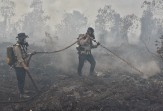 Lawan Karhutla di Tengah Asap dan Angin Kencang, Brimob Bekali Petugas dengan Tabung Oksigen