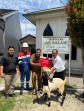 PGN Salurkan 7 Kambing Kurban ke Masjid di Riau, Perkuat Kepedulian Sosial di Momentum Idul Adha
