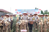 Panen Raya Jagung di Pekanbaru, Polisi Ikut Kawal Target Swasembada Pangan
