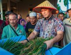 Panen Padi Gogo di Rumbai Meningkat, Pemko Pekanbaru Perkuat Dukungan untuk Petani
