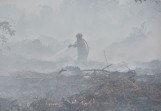 Karhutla Riau Tembus 18.770 Hektare, Bengkalis dan Pelalawan Terluas