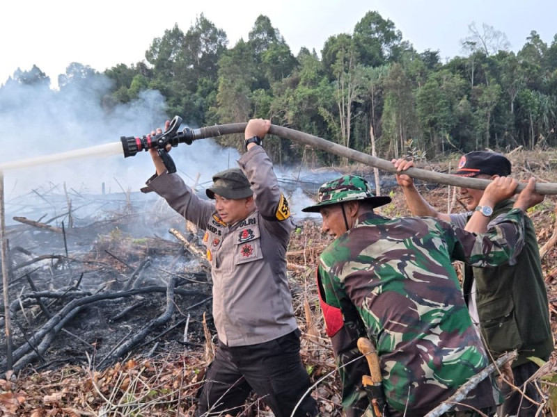 Kerjas Keras TNI Polri Berhasil Padamkan 10 Hektare Lahan Terbakar di Siak