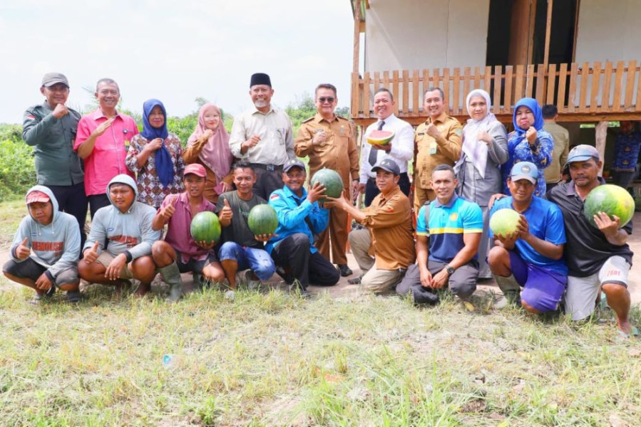 Sulap Lahan Kosong Jadi Kebun Buah, Kelompok Tani Siak Untung Ratusan Juta dari Panen Semangka