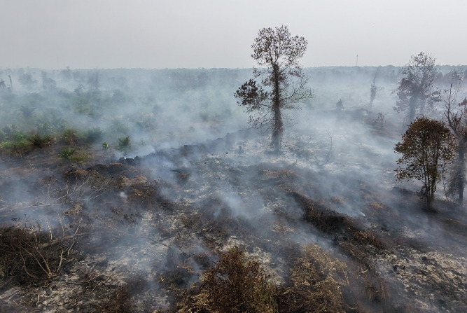 Pekanbaru Diselimuti Kabut Asap, Kasus ISPA Melonjak Jadi 177 Orang