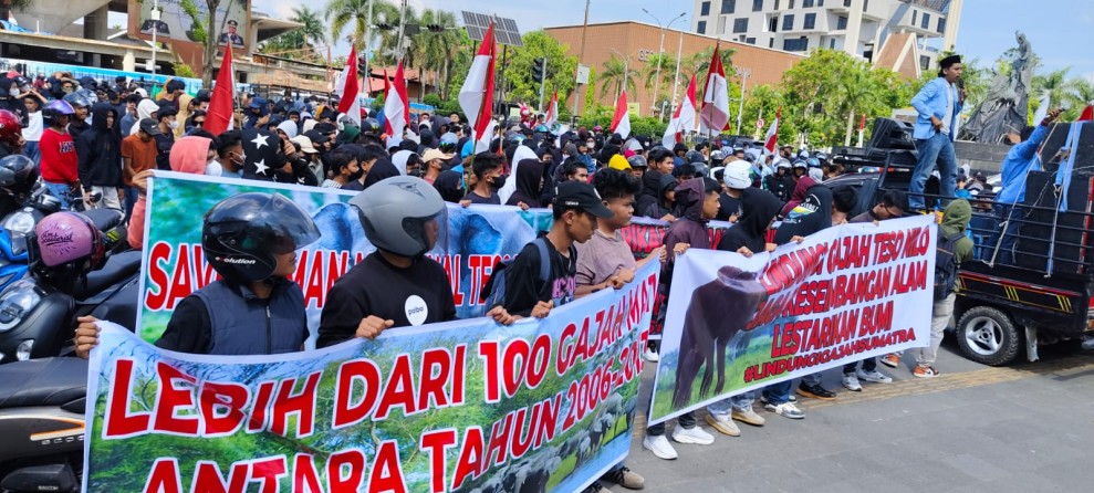 Ratusan Massa Dukung TNTN, Serahkan Boneka Gajah, Tari dan  Domang Serta Bacakan Petisi di Kantor Gubernur dan Kejati Riau