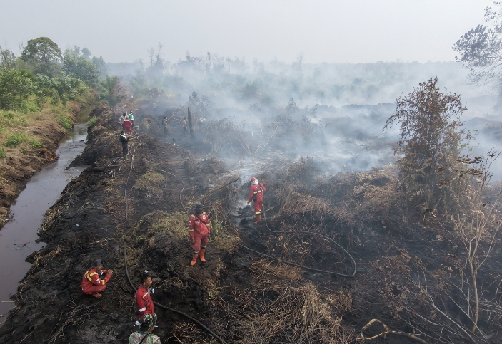 Hotspot Riau Melonjak, 64 Titik Terdeteksi hingga Rabu Sore