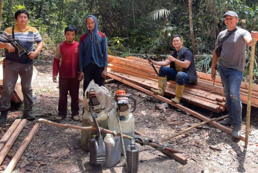 Gunakan Senjata Laras Panjang, Polisi Tangkap 7 Pelaku Perambah Kayu Hutan di Habitat Harimau Sumatera