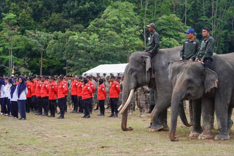 Menhut: Jambore Karhutla Riau 2025 Bukti Komitmen Jaga Hutan dari Kebakaran