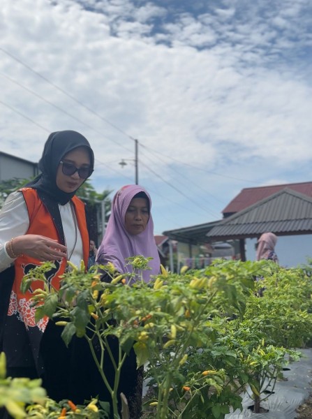 Program BRInita Bantu Masyarakat Penuhi Kebutuhan Pangan Mandiri Hingga Berpenghasilan Tetap.