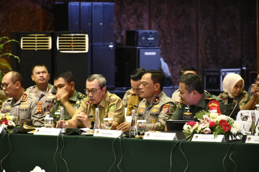 Hadiri Rapat Penanggulangan Karhutla di Masa El-Nino, Ini Pemaparan Syamsuar
