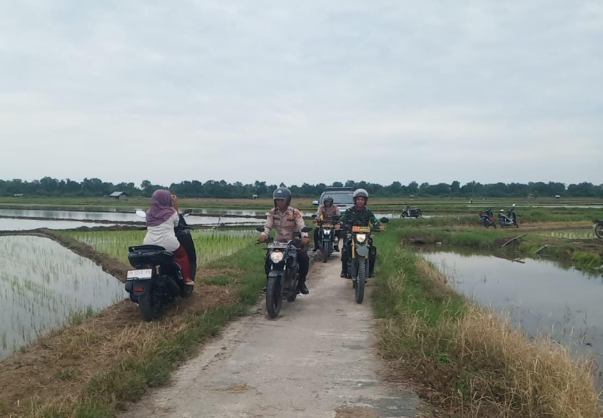 Lewati persawahan Polsek Sabak Auh Sambangi Warga Sampaikan Pesan Pemilu Damai