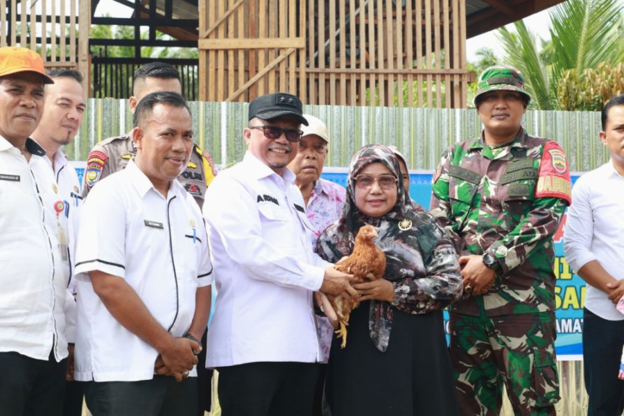 Kelompok Tani di Siak Dapat Bantuan 500 Ekor Ayam Layer, Ini kata Sekda Arfan