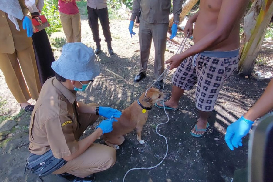 Di Provinsi Riau, Kabupaten  Kampar Menjadi Wilayah Terparah Kena Wabah Penyakit Hewan