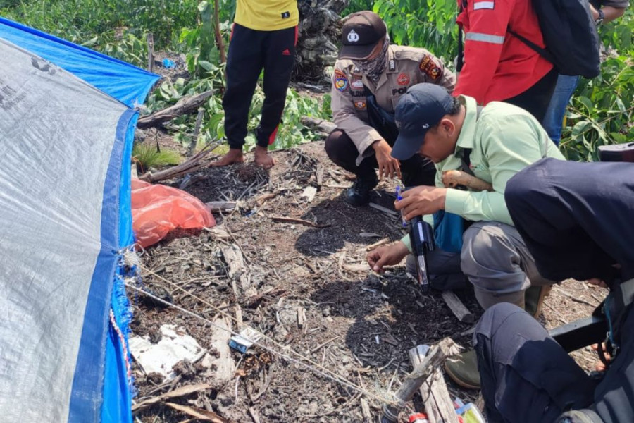 Pekerja Perkebunan Diterkam Harimau, Ini Penjelasan Polisi