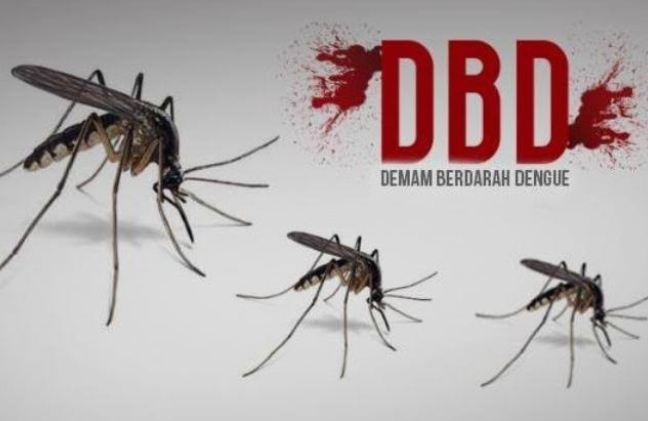 Waspada DBD! 745 Kasus Tercatat di Pekanbaru, 3 Warga Meninggal Dunia