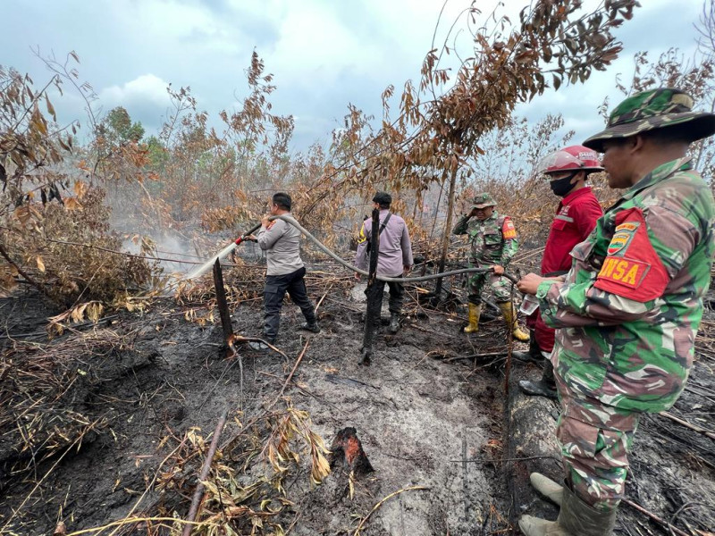 BMKG Catat 1.492 Hotspot Karhutla di 8 Provinsi Sumatera