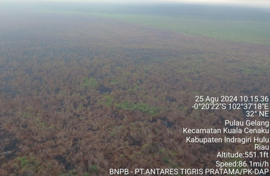 Kebakaran Hutan di Kuala Cenaku Indragiri Hulu Padam Total