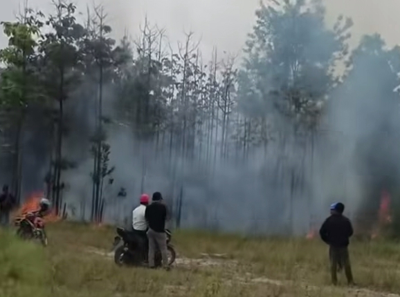 Semak Belukar di Depan Mall SKA Pekanbaru Terbakar, Api Sempat Membesar