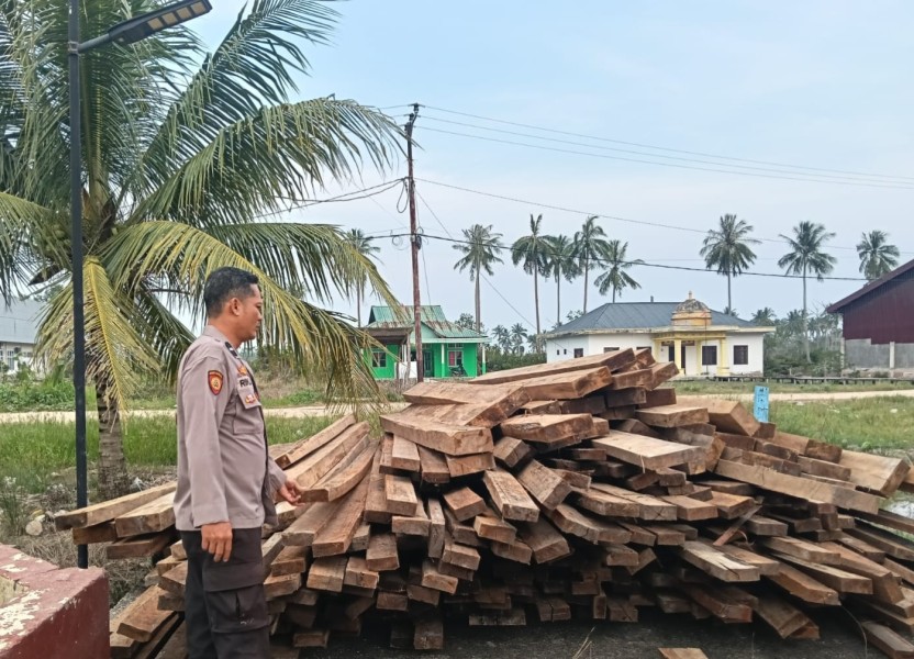 483 Keping Kayu Olahan Seberat 10 Ton Diamankan Polisi di Sinaboi