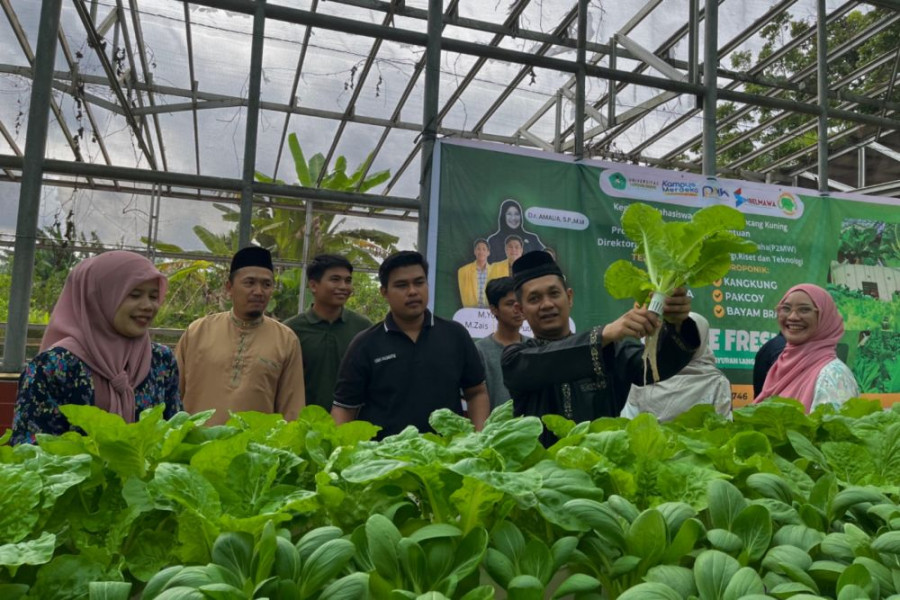 Di Lahan Sempit, Mahasiswa Faperta Unilak Panen Sayur Hydroponik