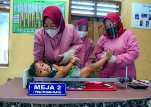 Sukses Tekan Tengkes, Pemprov Riau Dapat Apresiasi dari DPR RI