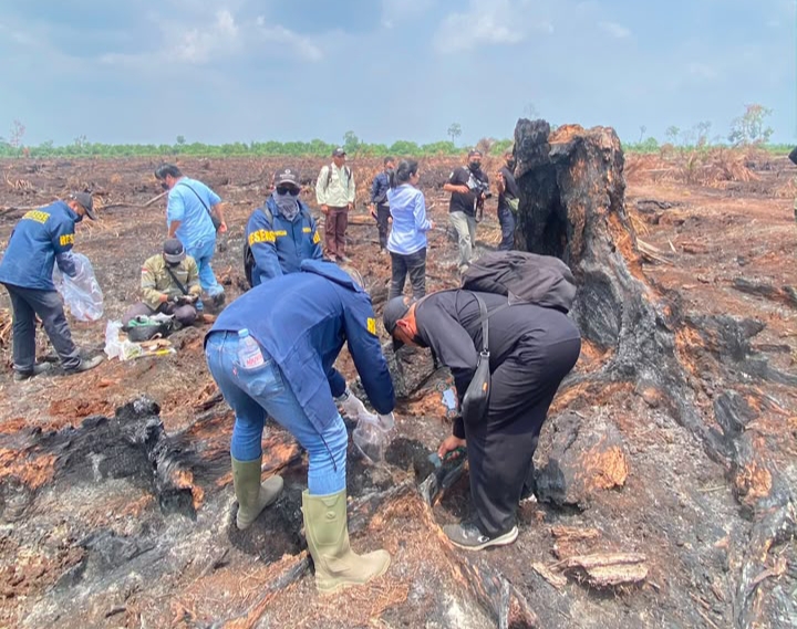 Polda Riau Libatkan Lima Ahli Usut Karhutla di HGU PT TKWL, Dampak Kerusakan Lingkungan Dikaji