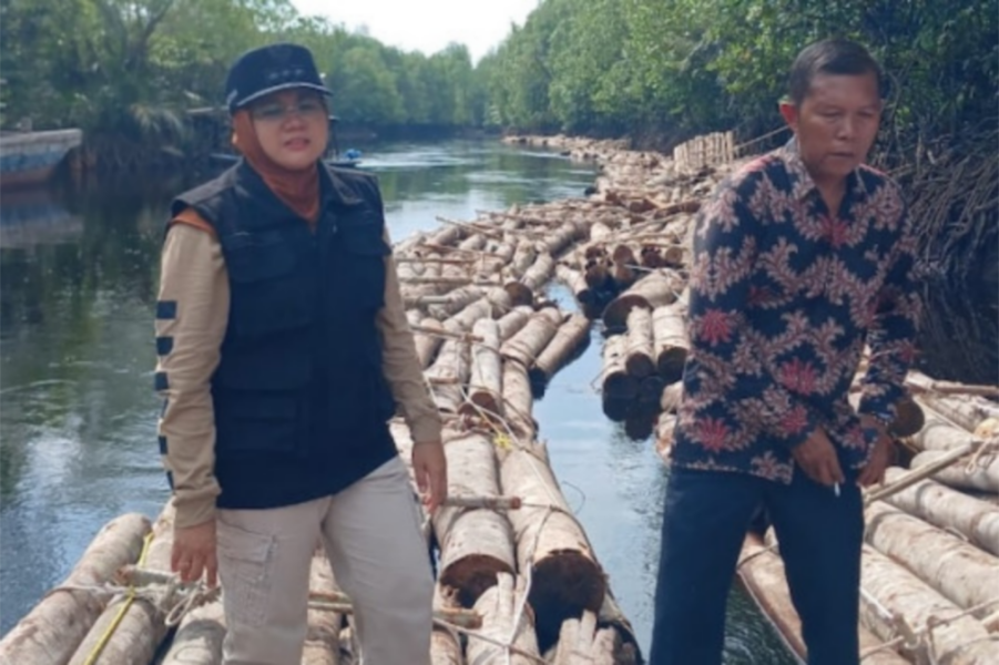 Saat Kunjungan ke Sungai Apit, Bupati Siak Terkejut Temukan Ribuan Kayu Diduga Ilegal