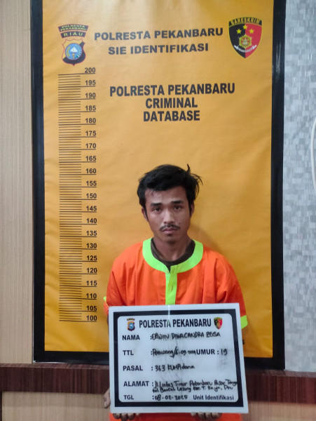 Curi Tembaga Tugu Zapin Pekanbaru, Pria Ini Tak Berkutik di Tangkap Polisi