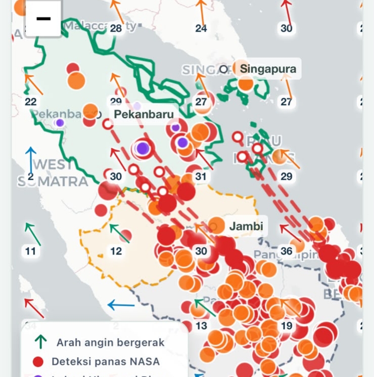 355 Hotspot Terdeteksi di Riau, Asap Kiriman dari Selatan Mulai Bergerak