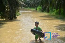Pemprov Riau Bentuk Satgas Siaga Bencana Hidrometeorologi
