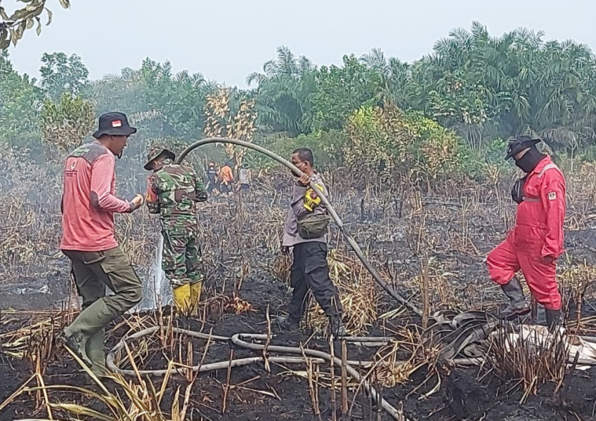 14 Hotspot Karhutla Terdeteksi di Riau, Rohil Terbanyak