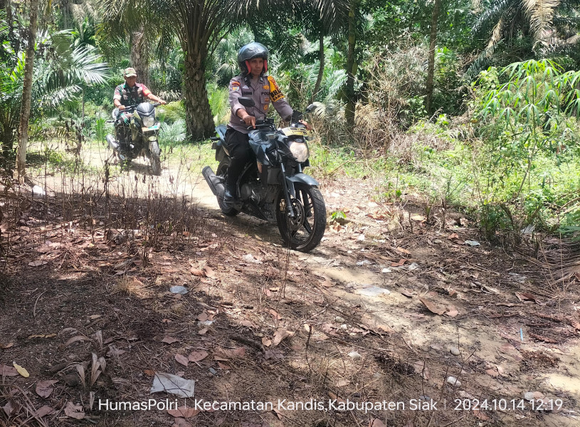Bhabinkamtibmas Polsek Kandis bersama babinsa Koramil 05 / PWK Kandis Melintasi jalan Hutan dan perkebunan untuk Cooling System dan Pengecekan TPS Terpencil