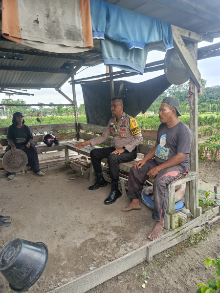 Sambangi Warga Di Perkebunan Sayur Kelurahan Maharatu, Bhabinkamtibmas Polsek Bukit Raya Intensifkan Patroli Cooling System Jelang Pilkada Serentak 2024