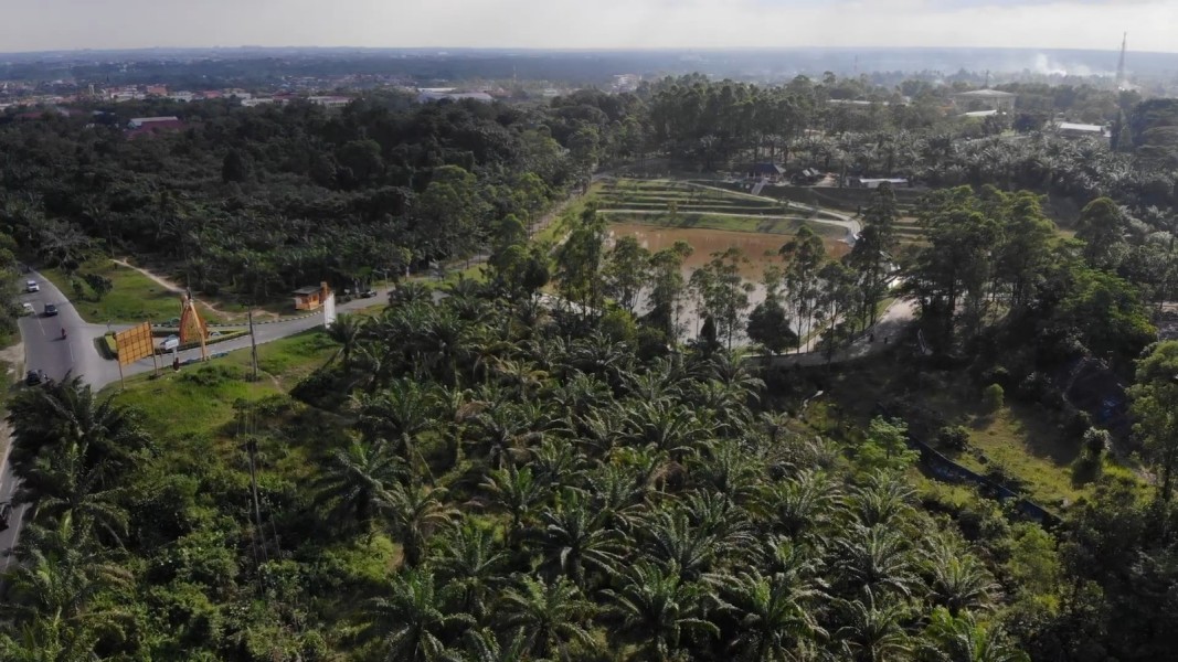 Kawasan Unilak Tetap Hijau, Ribuan Warga Berolahraga Setiap Harinya