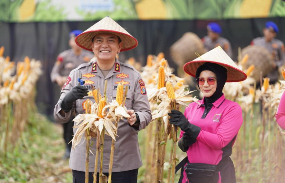 Kapolda Riau Panen 156,64 Ton Jagung Pipil, Hasil Dijual ke Sumbar
